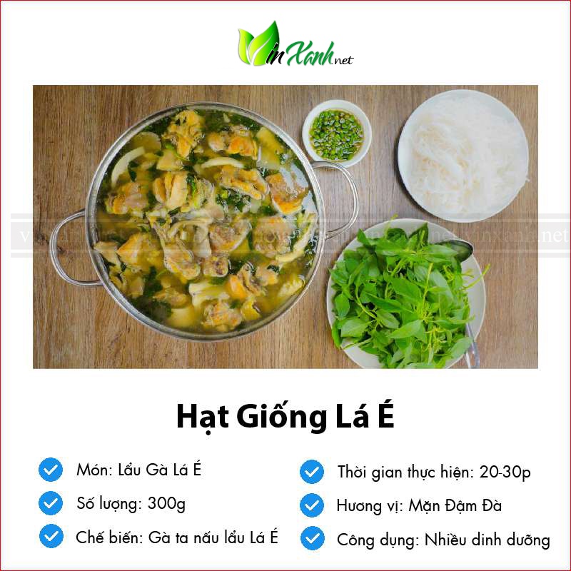Hạt giống rau húng trắng / é trắng thơm - NGUYÊN GÓI hàng Công ty tuyển chọn tỷ lệ nảy mầm cao