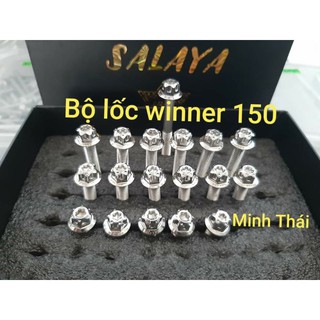 Bộ lốc máy winner 21con