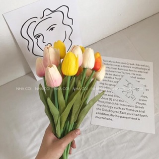 HOA TULIP SILICON DECOR