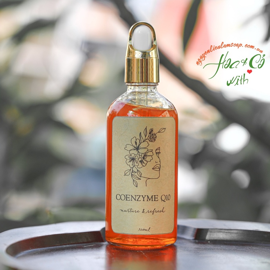 Chất Chống Lão Hóa Coenzyme Q10