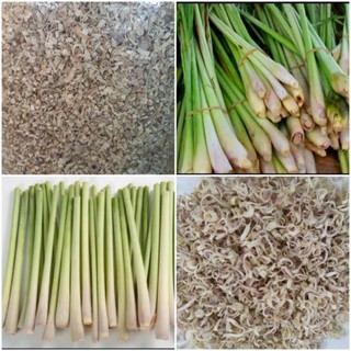 SẢ SẤY KHÔ 100gr-500GR