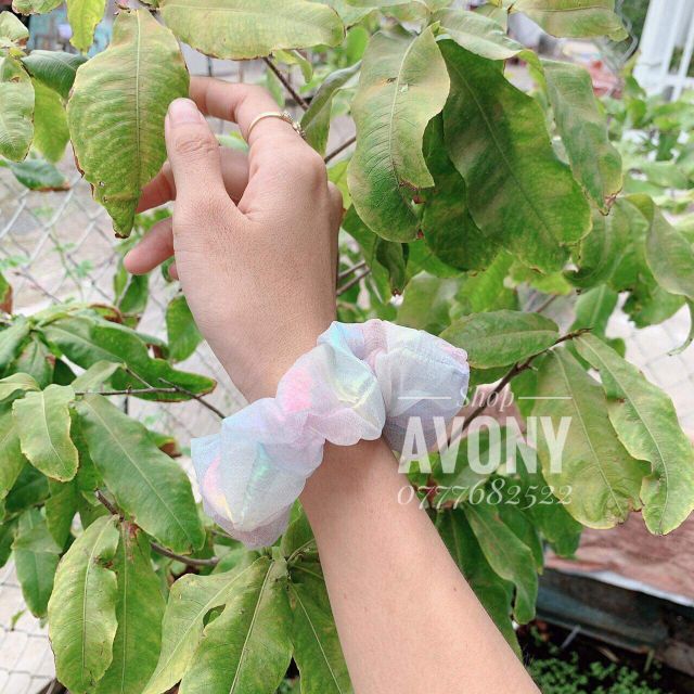 𝑺𝑪𝑹𝑼𝑵𝑪𝑯𝑰𝑬𝑺- cầu vòng ánh bạc