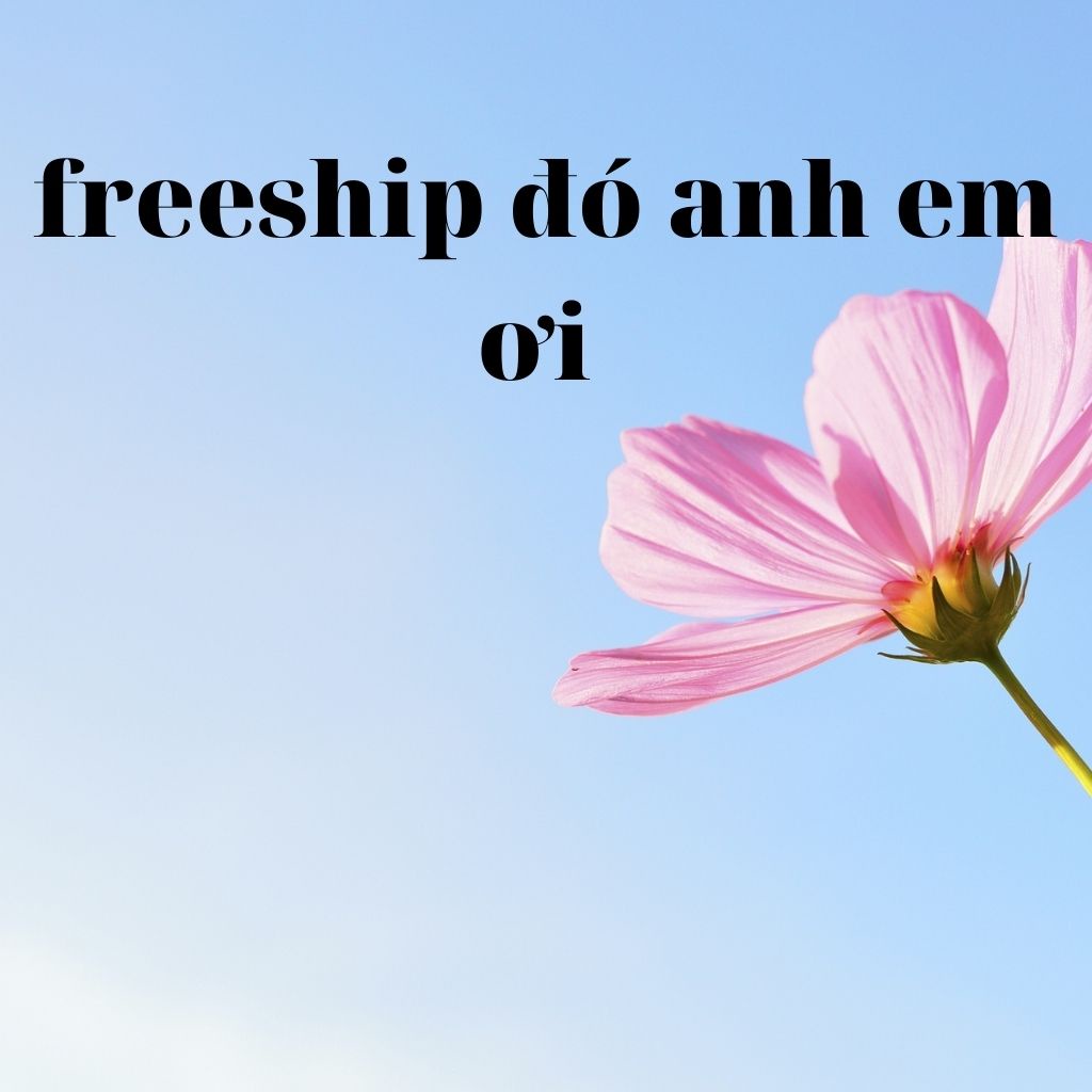 khẩu trang y tế trắng Cao Cấp Kháng Khuẩn Hộp 50 Chiếc Bảo Tiến | BigBuy360 - bigbuy360.vn