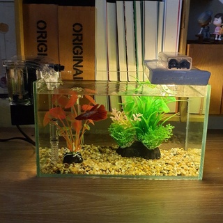 Bể cá mini 24 cm và 6 món (bể, sỏi, máy lọc, cây nhựa mini, cây nhựa vừa, đèn led đom đóm gắn xốp)