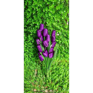 HOA TULIP VẢI