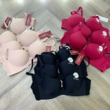 áo lót nữ đúc su /SET 3 ÁO LÓT NỮ CAO CẤP HOA CÚC  A618