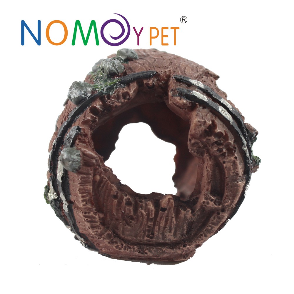 Hang trú ẩn thùng gỗ vỡ cho bò sát | Vietpetgarden