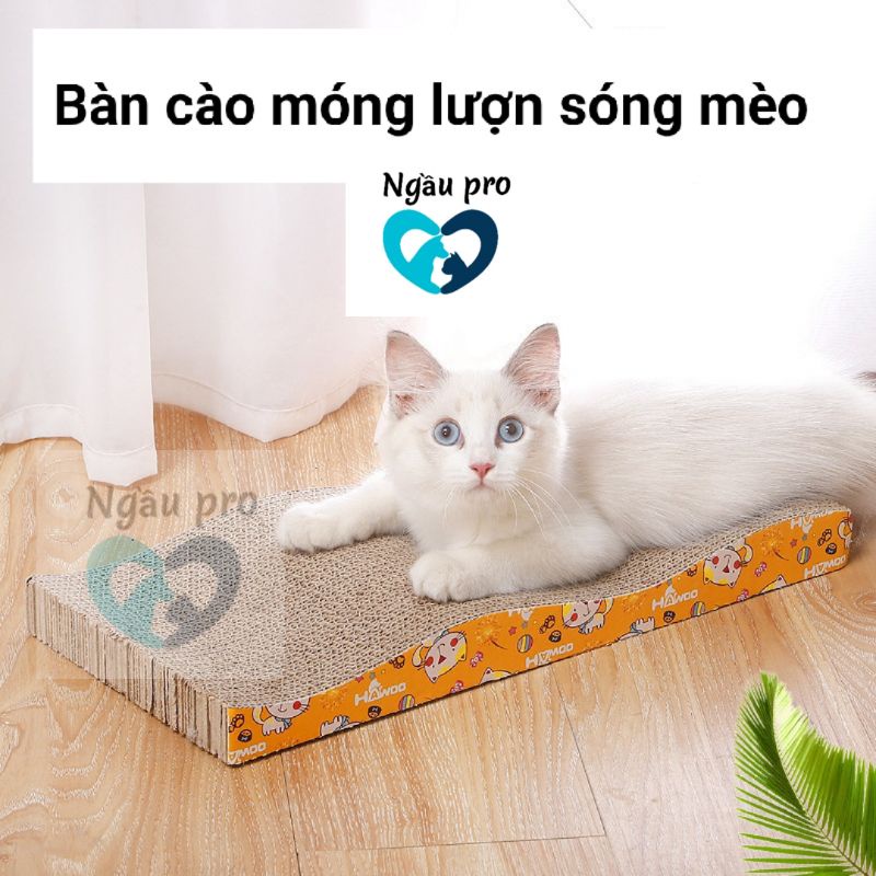 Bàn cào móng cho mèo lượn sóng bằng carton , Đồ chơi cho mèo con chăm sóc móng ngaupet