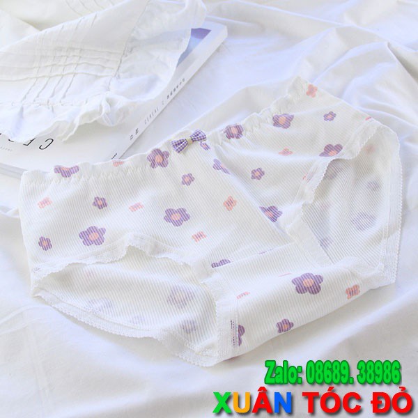  SỈ ZALO RẺ HƠN NHIỀU_ Quần Lót 5 Kiểu Hoa Đào Trắng Tím Cực Đẹp 5108 | BigBuy360 - bigbuy360.vn
