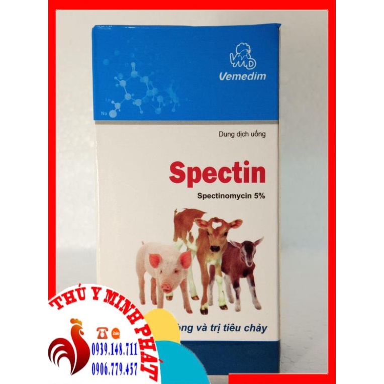 WMD SPECTIN chai 20ml tiêu chảy trên heo con