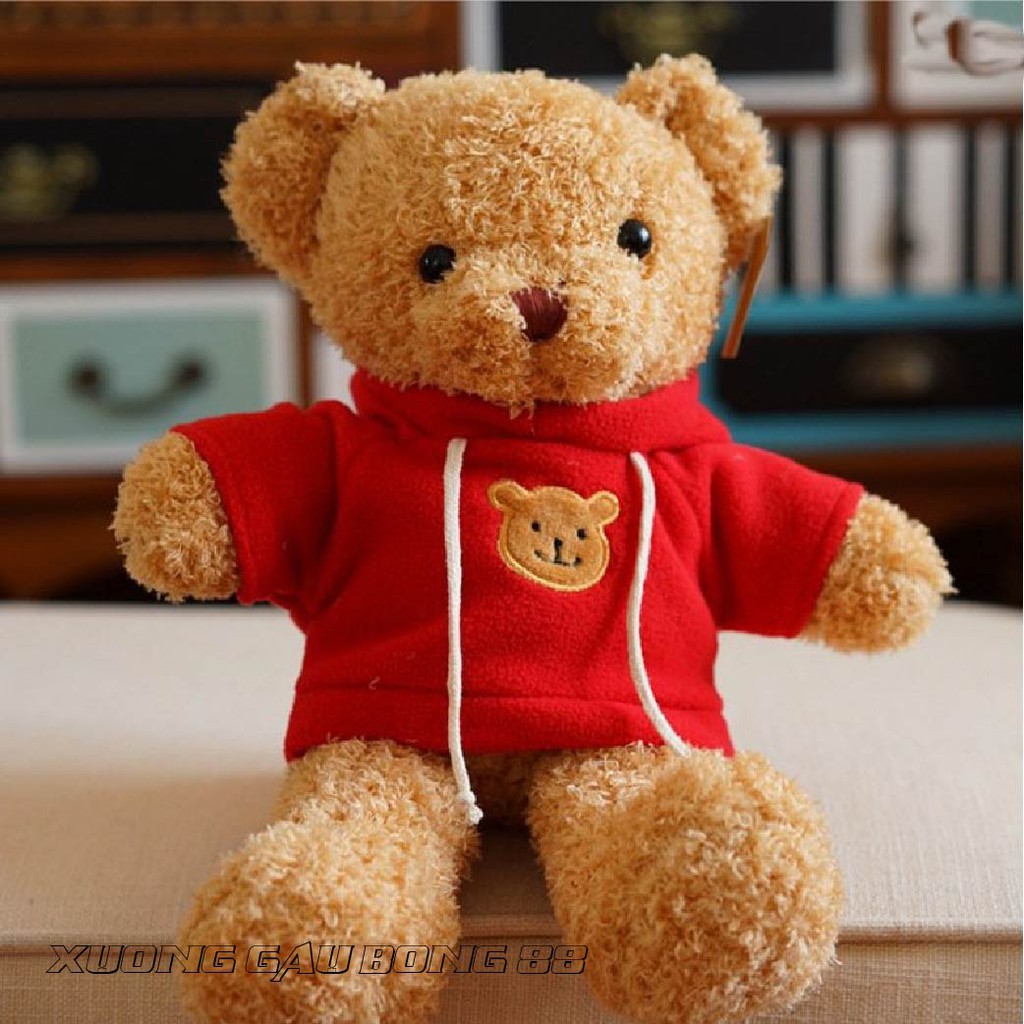 Gấu Bông Đồ Chơi cho bé Teddy Mặc Áo Hoodie Nhiều Màu Nhồi Bông Gòn  Cao Cấp Bao Xinh