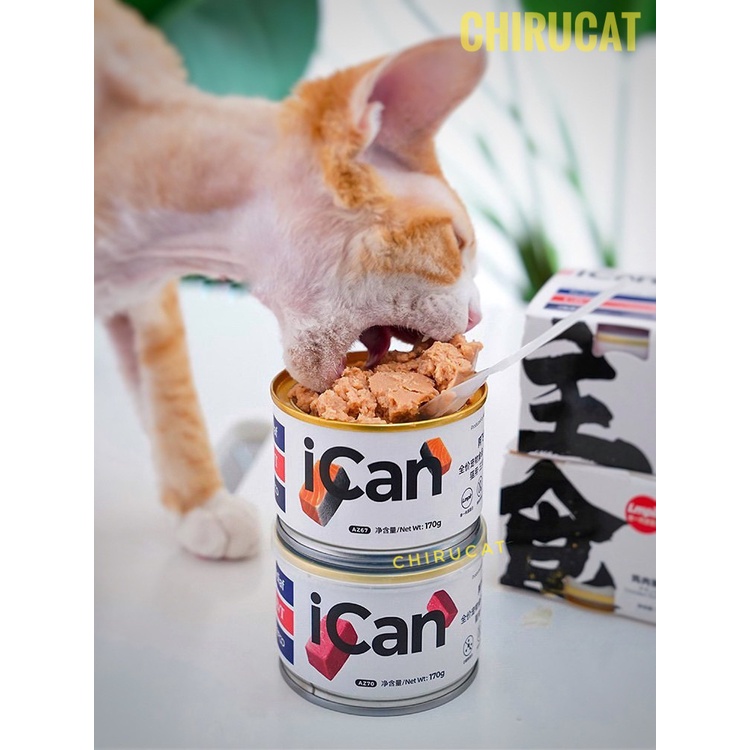 [Hàng Cao Cấp]Pate Mèo ICAN Bò Gà Cá Hồi Vịt Lon Đặc 170gr