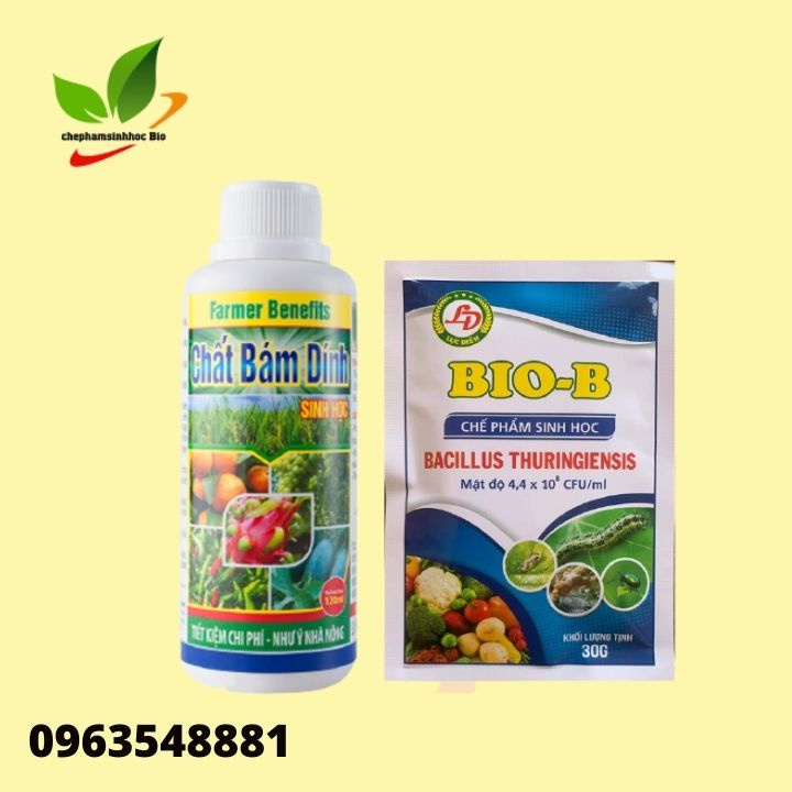 Combo chế phẩm sinh học Bio B 30gram và chất bám dính 120ml.