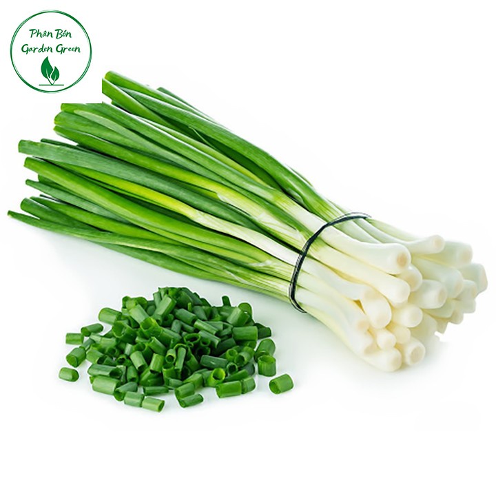 Hạt giống rau thơm - dễ trồng, ít sâu bệnh - rau sam, húng quế, ớt, hành lá, é trắng, ngò gai, húng lủi, tía tô, cần tây