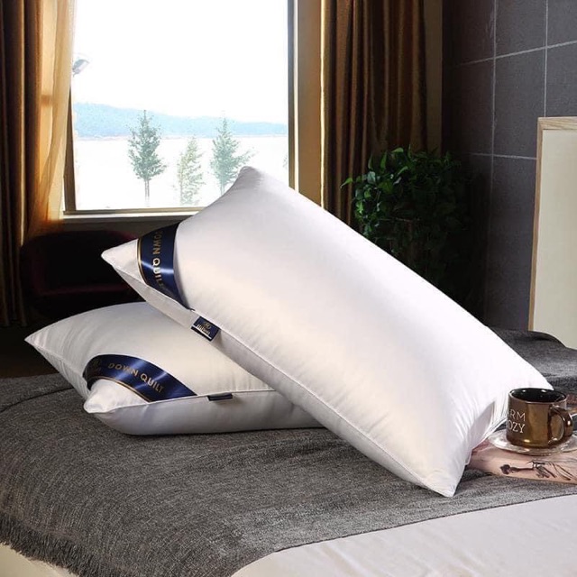 Đôi Gối Hiton Cao Cấp Với giá tầm trung kháng khuẩn