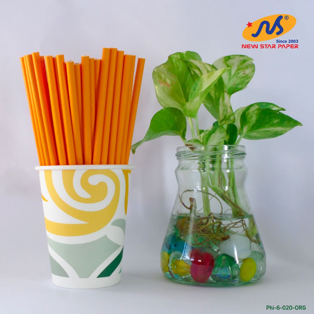 Phi 6 - Hộp 500 ống hút giấy làm từ sợi mía