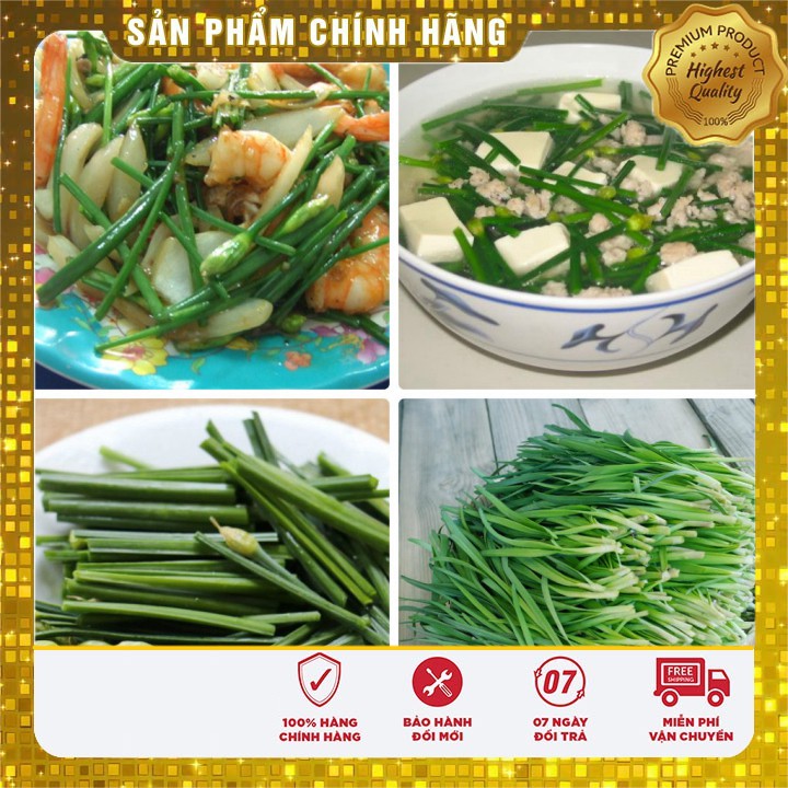 Hạt giống Rau Hẹ Ta rau dễ trồng gói 10 gram