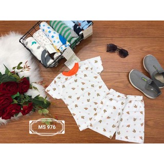 Set 5 bộ đồ Carter's cho bé trai.