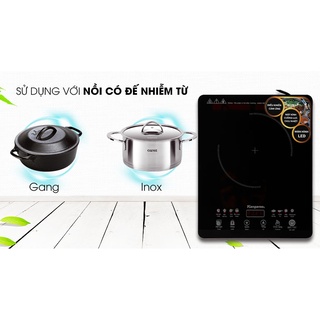 Bếp điện từ Kangaroo KG18IH2