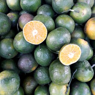 Cam sành Lai Vung🍊🍊🍊
