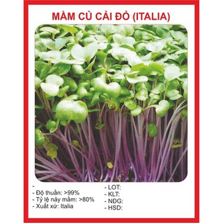 Hạt giống Mầm củ cải đỏ đỏ - 50gr/gói