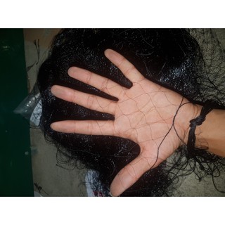 60m lưới 3 phân bẫy chim ( ri , sắc ô , khuyên , sẻ ) chiều cao 7 mét 7 dây 6 túi ( lưới cước thái màu đen tàng hình )
