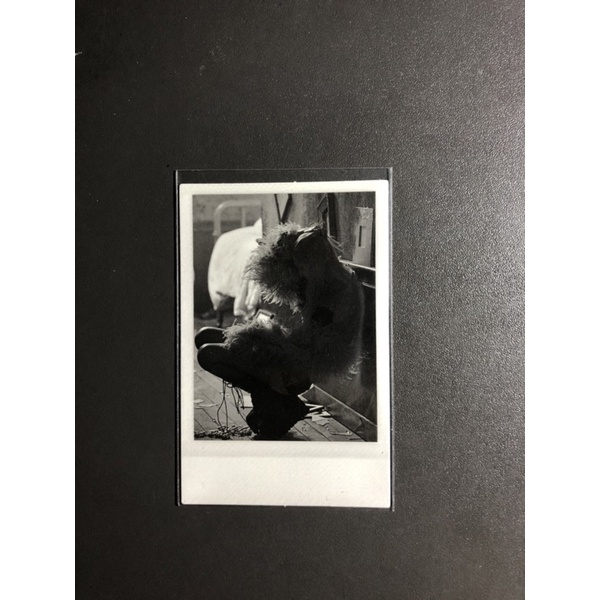 Ảnh, goods Blackpink