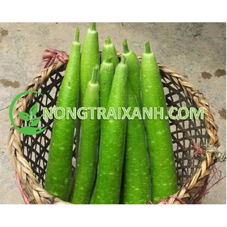 30H - HẠT GIỐNG BẦU SAO QUẢ DÀI