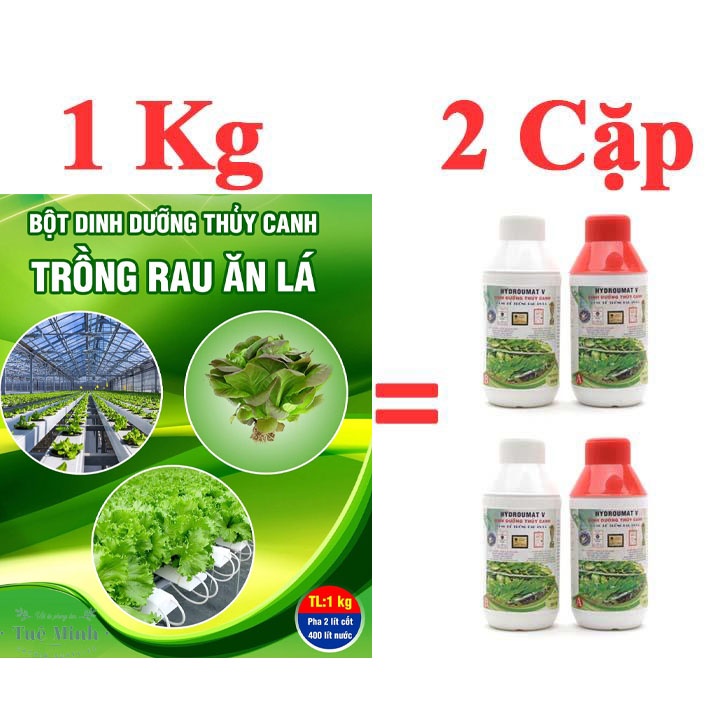 Bột thủy canh HYDROLAND V cho rau ăn lá gói 1Kg