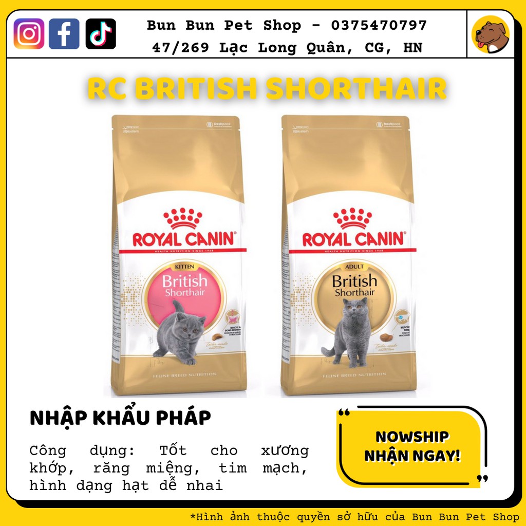 (2kg) Hạt khô Royal Canin British shorthair cho mèo (kitten/adult)