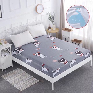 Ga chống thấm Funny_kid💖TẶNG VỎ GỐI💖Ga chống thấm cotton 100%