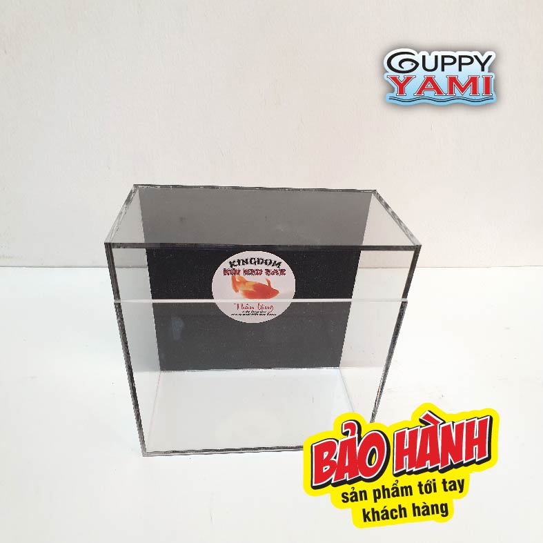 Keo Show cá Guppy mica siêu trong, Hồ Show cá Betta 2:1có thể show nằm & đứng 15x8x15, Bể Show cá Acrylic