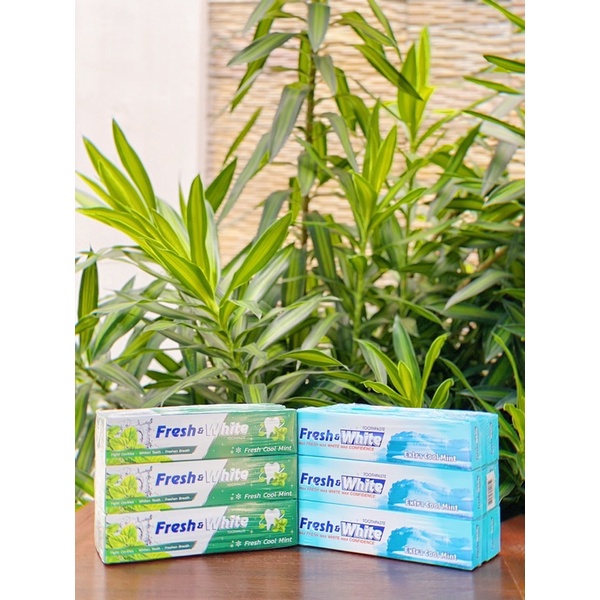 Kem đánh răng Fresh and White 160g Nhập khẩu Thái Lan