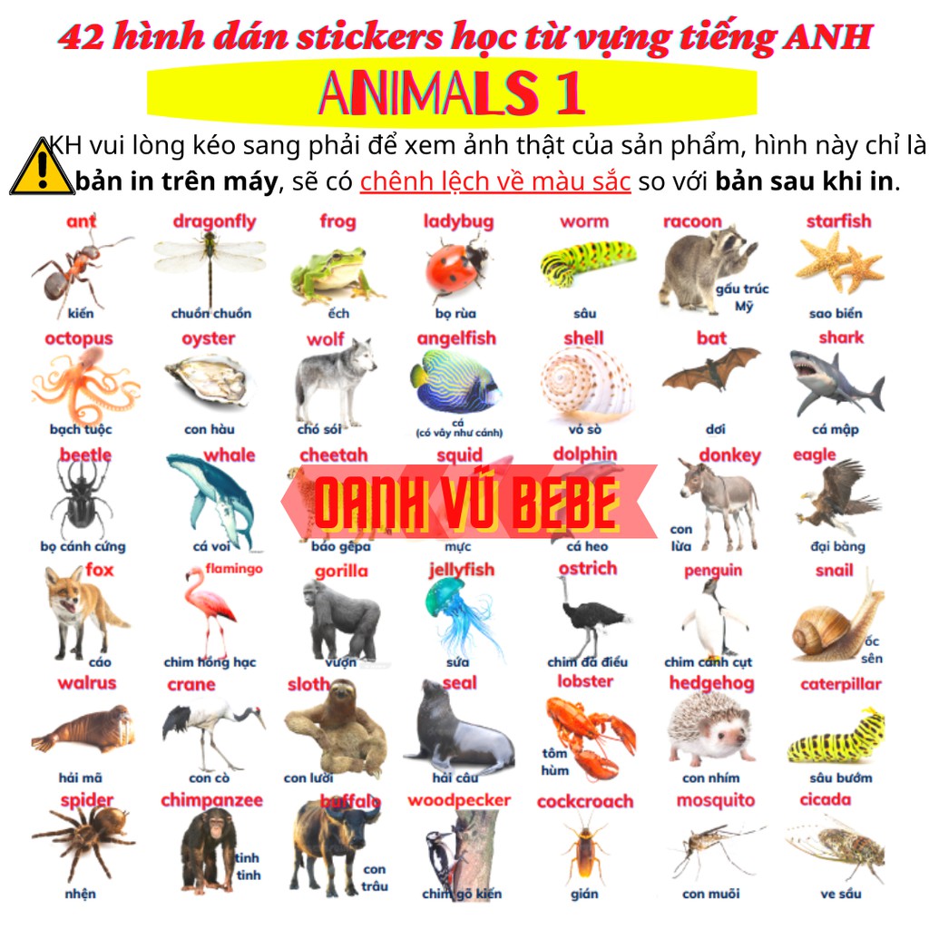 42 hình dán stickers học từ vựng Tiếng Anh - chủ đề Động vật