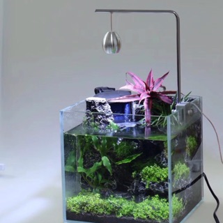 Đèn led mini bể 20-30