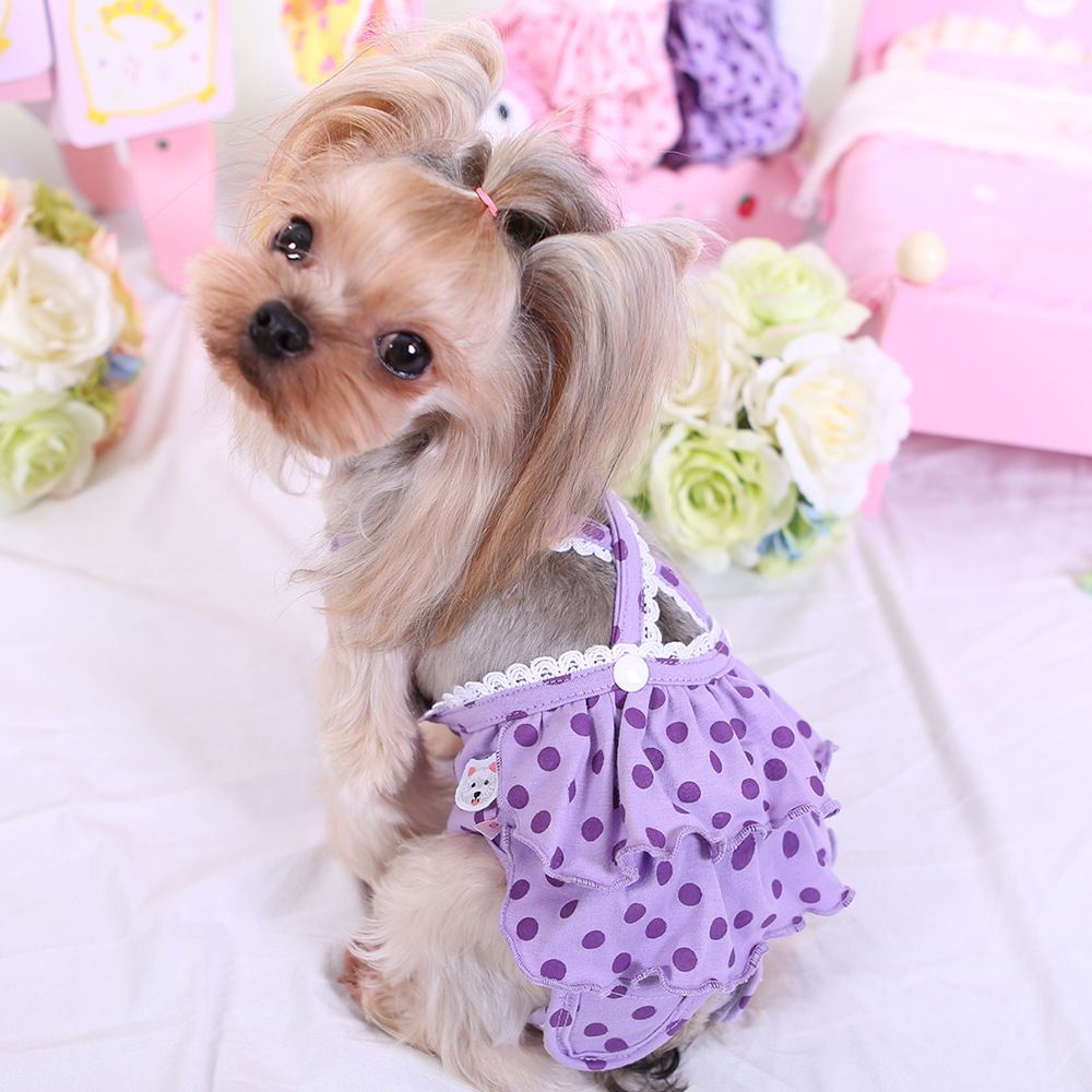 Quần lót sinh lý bằng cotton tùy chỉnh nhiều màu dành cho chó cưng