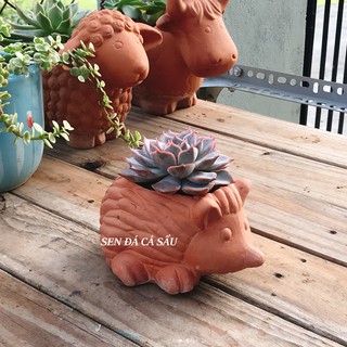 Chậu Đất Nung Hình Thú / Con Nhím