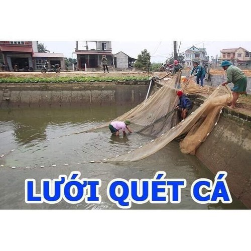Lưới quét cá ,vét cá ao hồ dài 15m cao 2m chất liệu cước chã - luoiquetcao2mdai15m