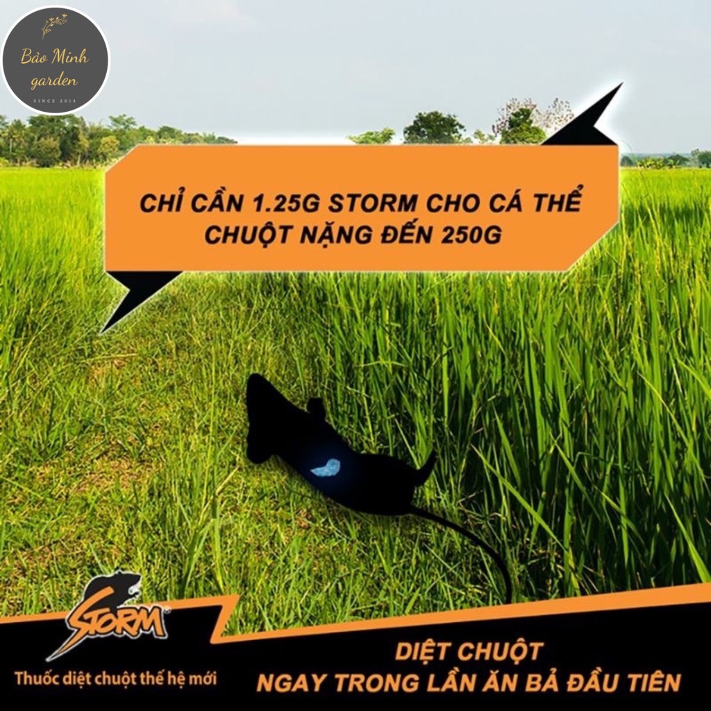 Thuốc Diệt Chuột STORM Đức Gói 20 viên