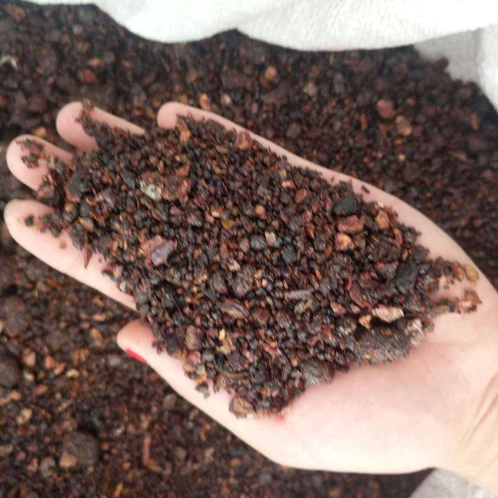 Mộc Dược  nguyên chất 100 gram.