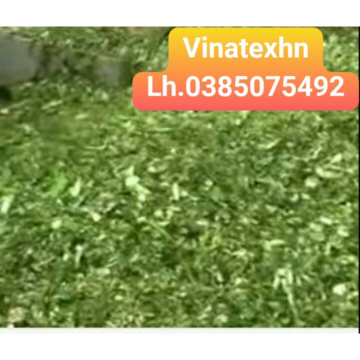 Máy băm bèo tây băm chuối cho heo gà vịt con
