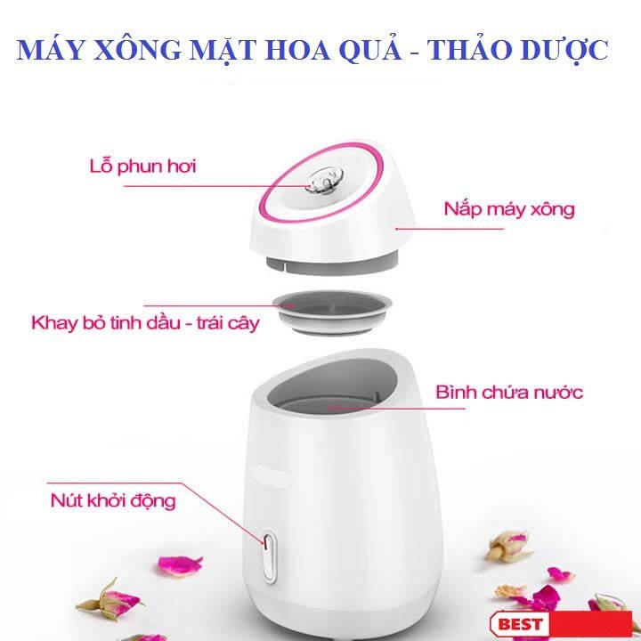 Máy xông mặt trái cây, hoa quả, thảo dược mới 2021