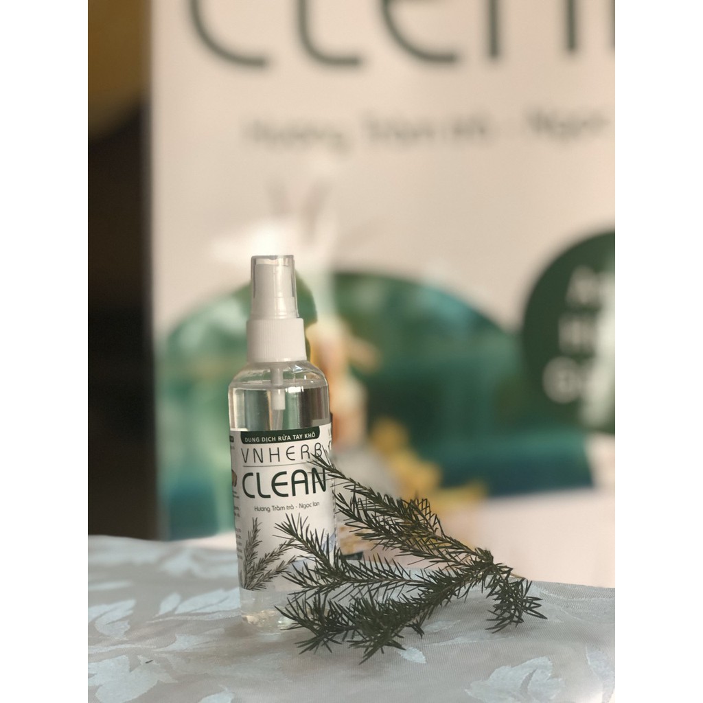 Nước rửa tay khô VNHerb clean 100ml xịt