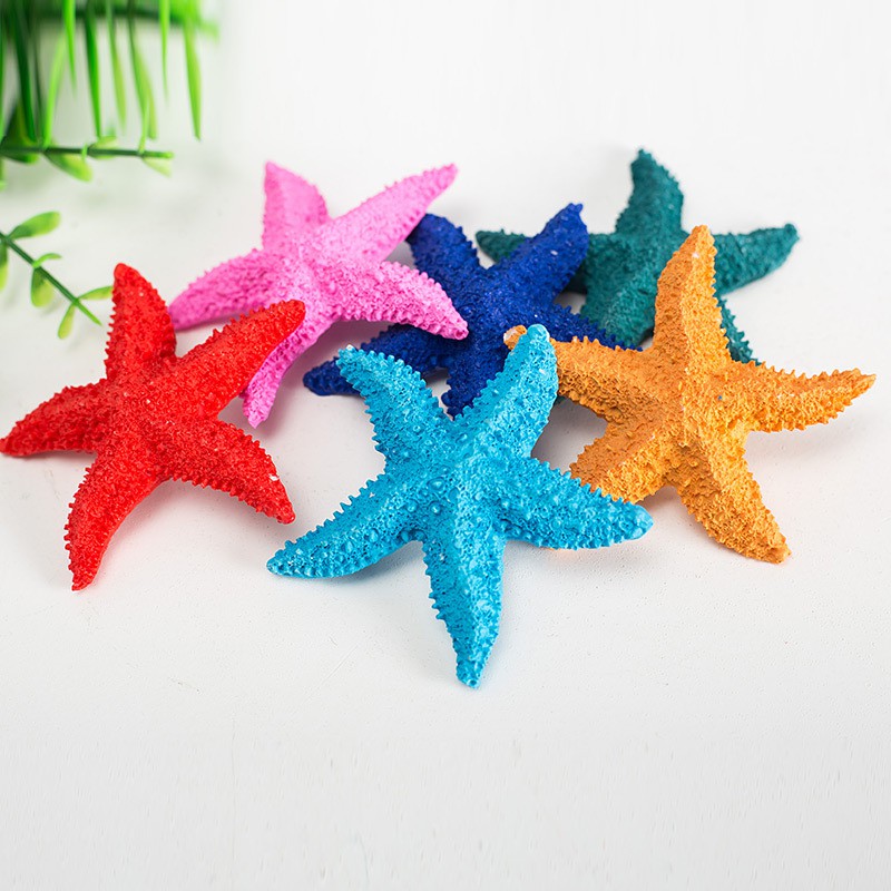 Mô hình sao biển trang trí size 8cm thân dày  - Decor đồ trang trí theo phong cách biển Địa Trung Hải