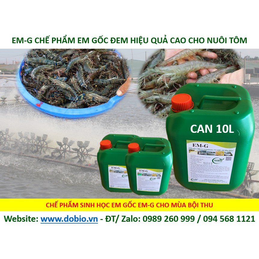 EM Gốc Can 10 lít, Chế Phẩm Vi Sinh EM Gốc, EM1, Địa Chỉ Cung Cấp Mua Bán Chế Phẩm Vi Sinh EM Gốc