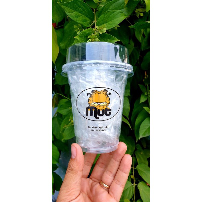 100 ly PP trà sữa đáy bầu 360ml_500ml_700ml  nắp vuông