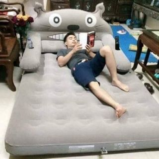 Giường hơi hình thú