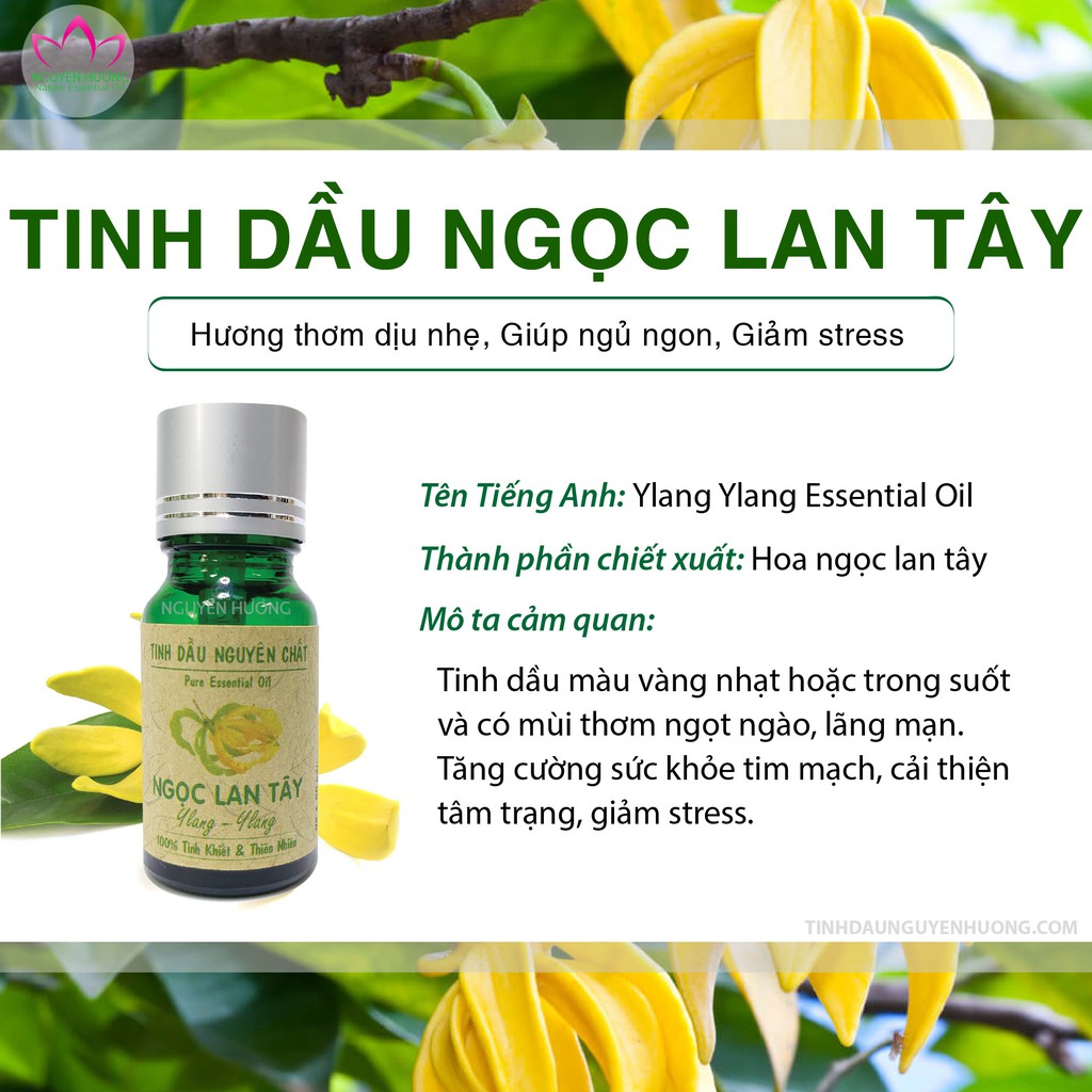 Tinh dầu Ngọc Lan Tây - Tinh dầu giúp ngủ ngon ( CÓ KIỂM ĐỊNH )