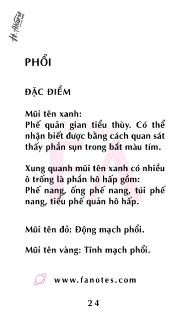 FA mô học// flashcard anatomy mô học