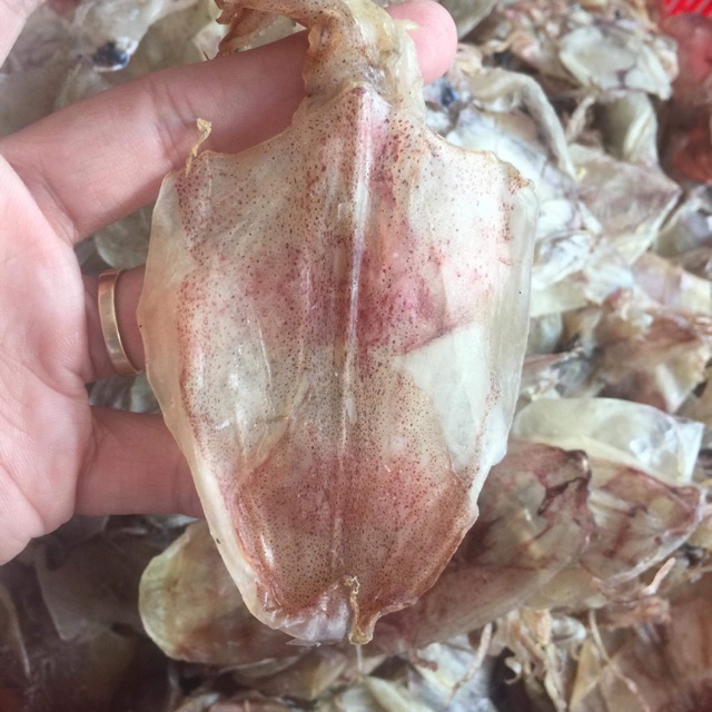 Mực Nhí Đồng Tiền